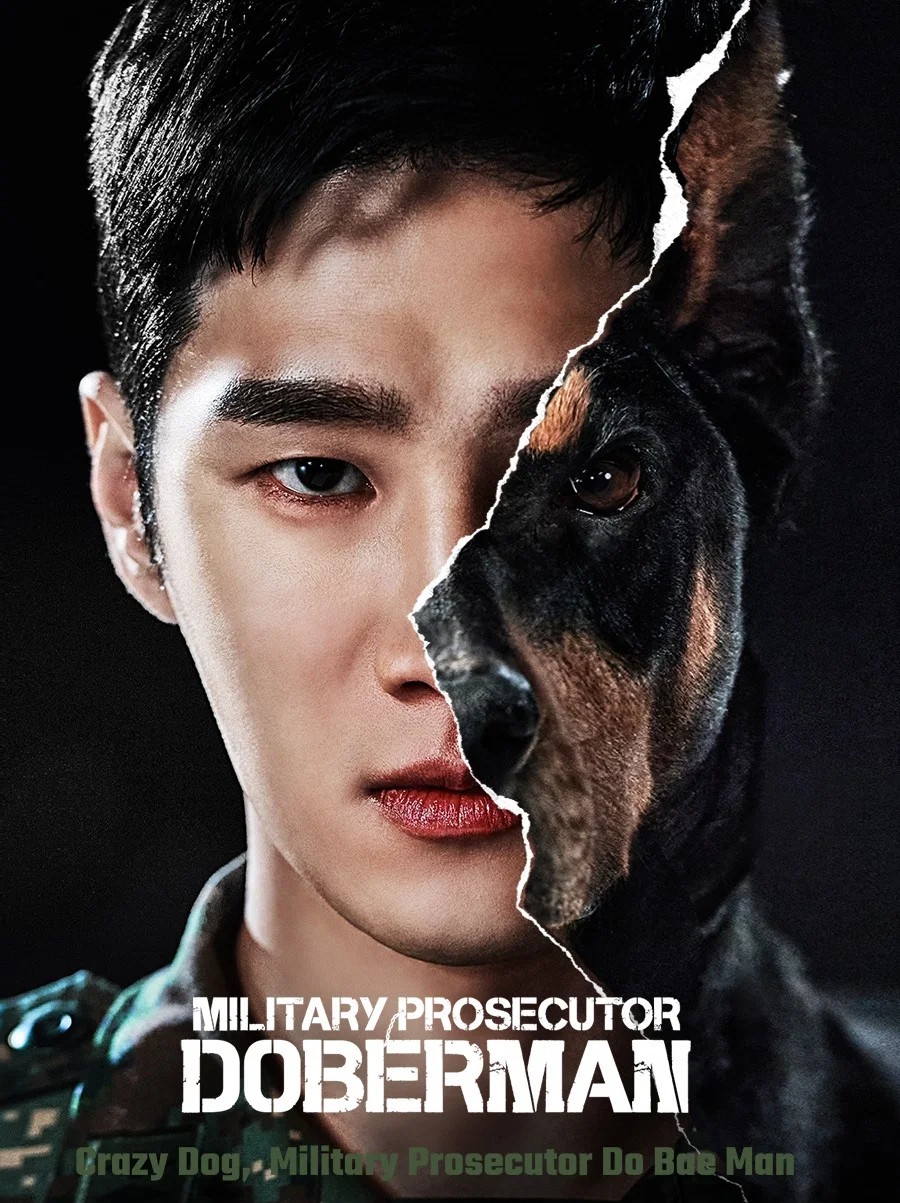 military prosecutor doberman 2